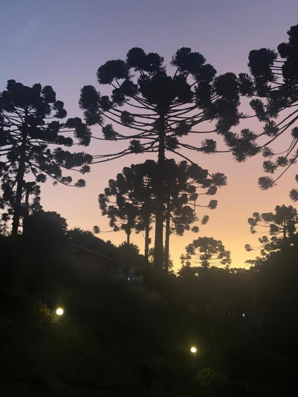 Aconchegante Apartamento Campos do Jordão